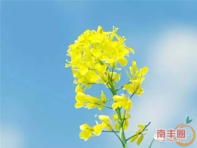 28e7479df3a62f611c37ca11b277b0fb.jpg