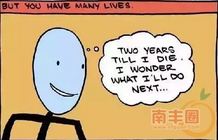 10.png