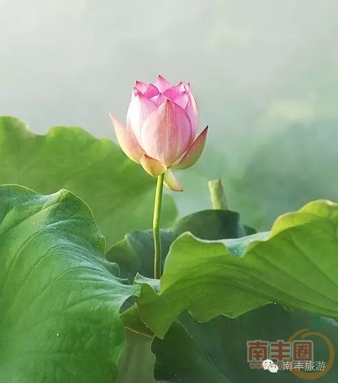 640.webp (22).jpg