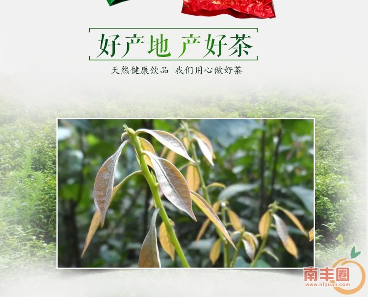 84ae459b2842048a441ce9adf790f7db.jpg