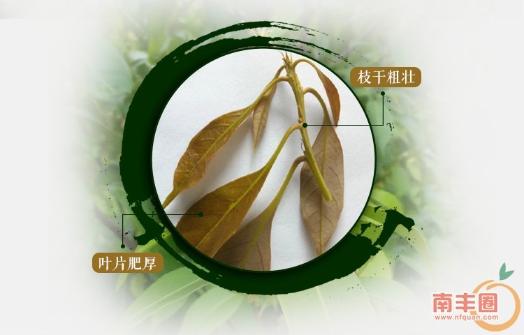 a3a58f32e738f8bfa0d59ea00ecb9b0f.jpg