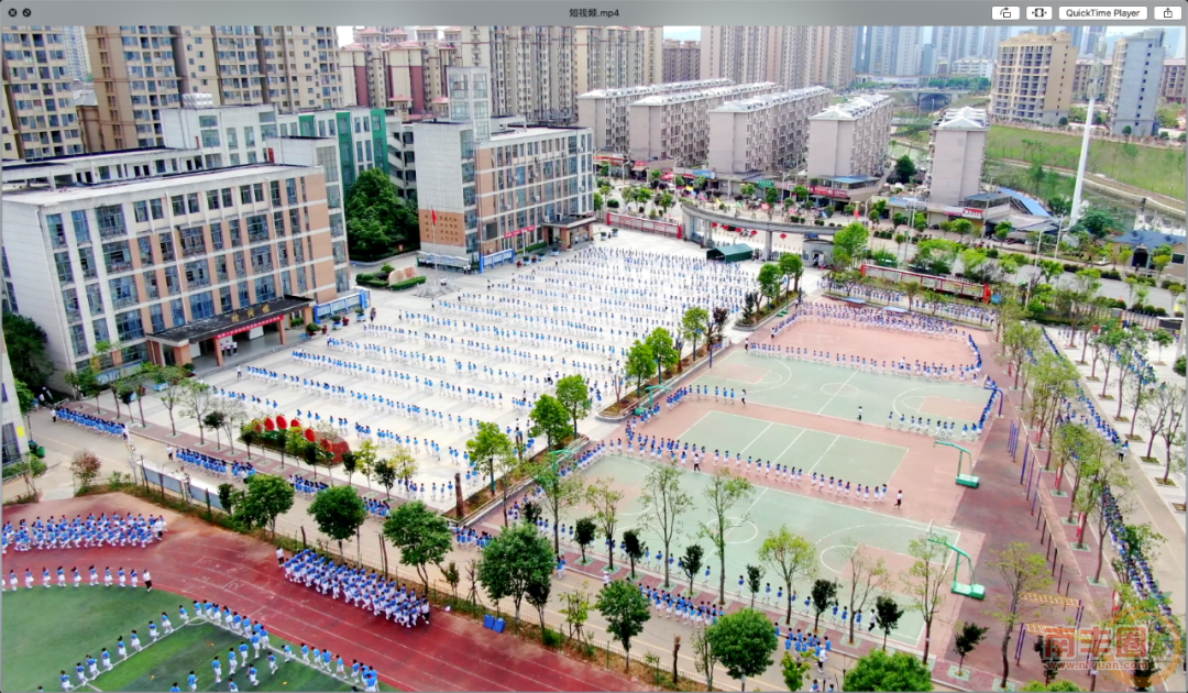 091451ust8306si994s982.png