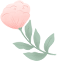 202736x9hw8uhea6z1jlh9.png