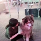 想找个人结婚
