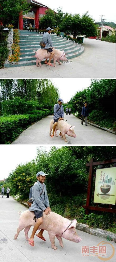 最驴的车