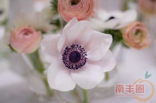 20131120_203255_002.jpg