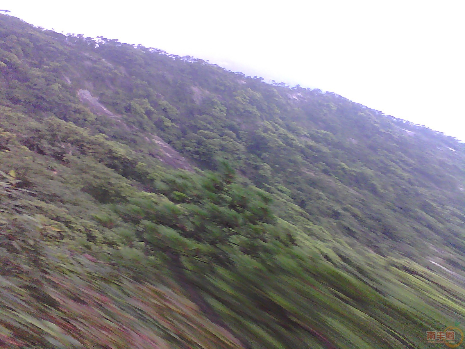 IMG_20130705_072736_0.jpg