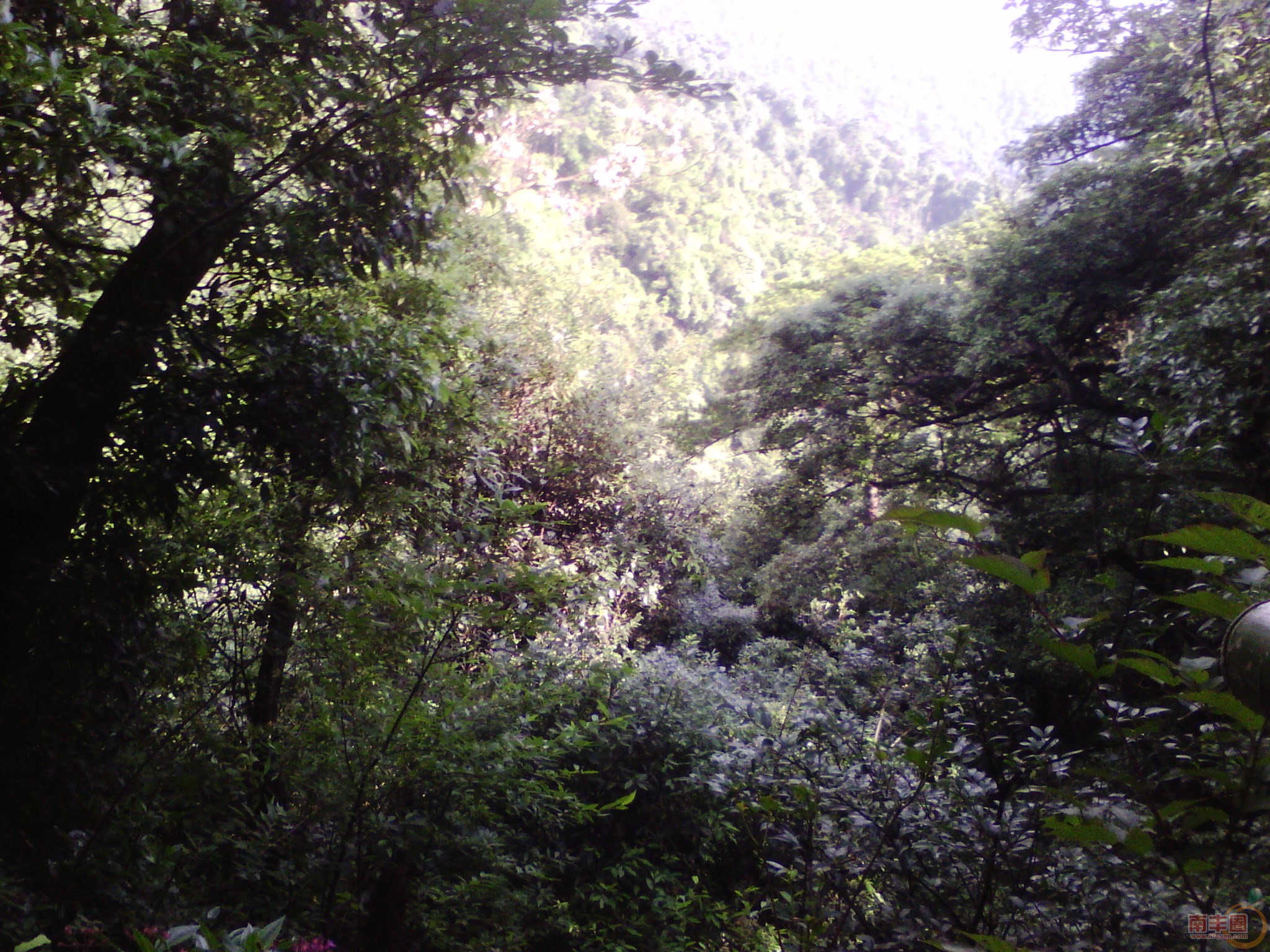 IMG_20130705_081045.jpg