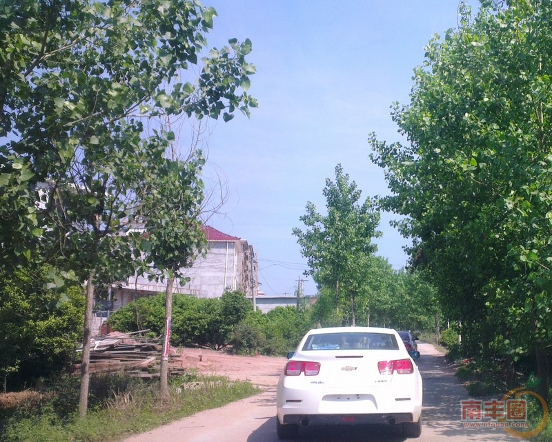 IMAG4825.jpg