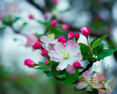 QQ截图20140901215537.png