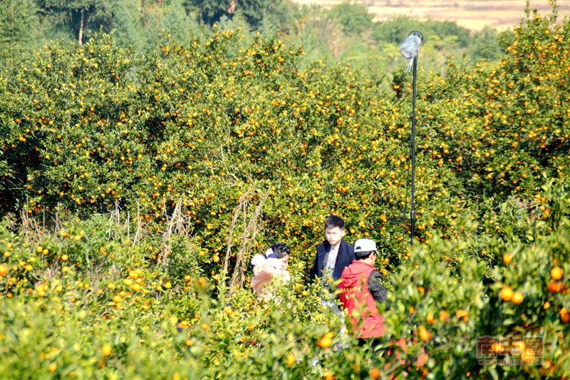 DSC_0465_副本.jpg