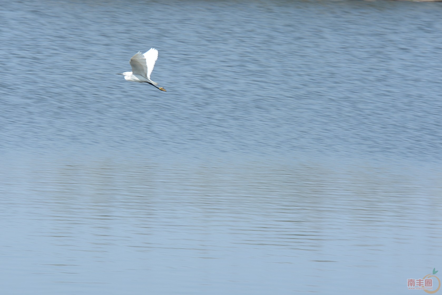 DSC_0194.jpg