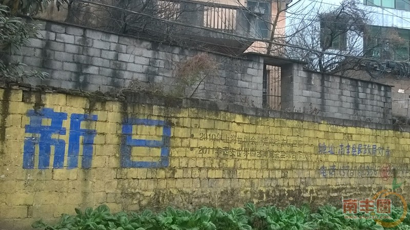 10真桥背1.jpg