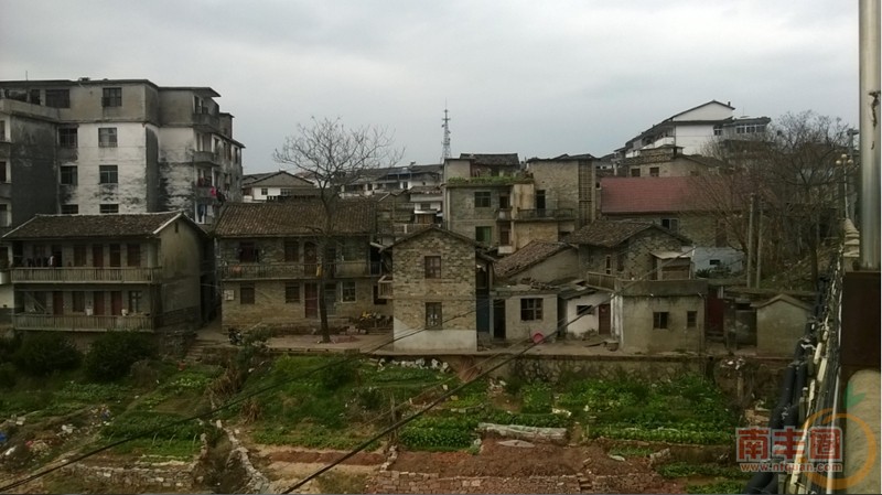 11大桥6.jpg