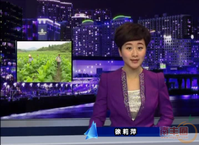 新闻人徐丽萍.png