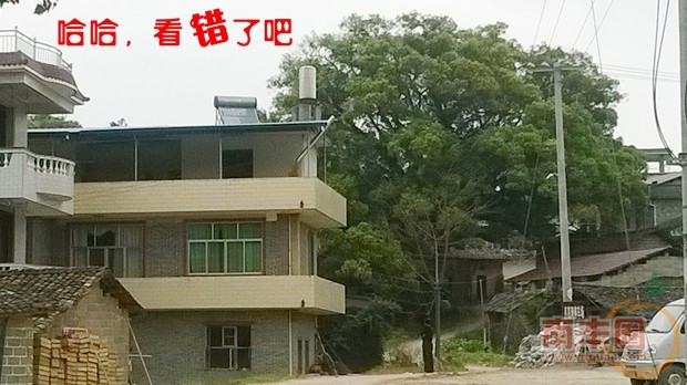 03.jpg