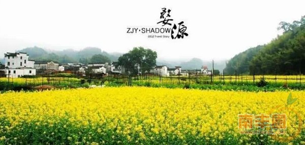 婺源.jpg