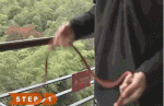6.gif