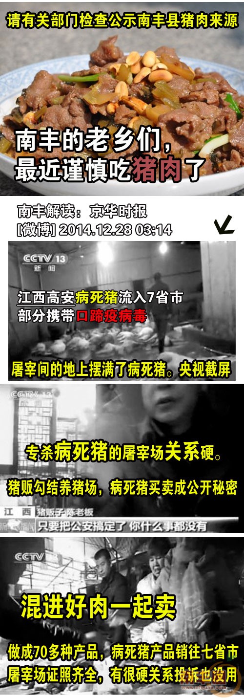 病死猪_02.jpg