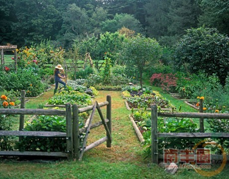 20110811104353_E8FXn_thumb_700_0.jpg
