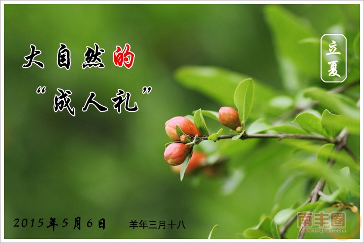 立夏.jpg