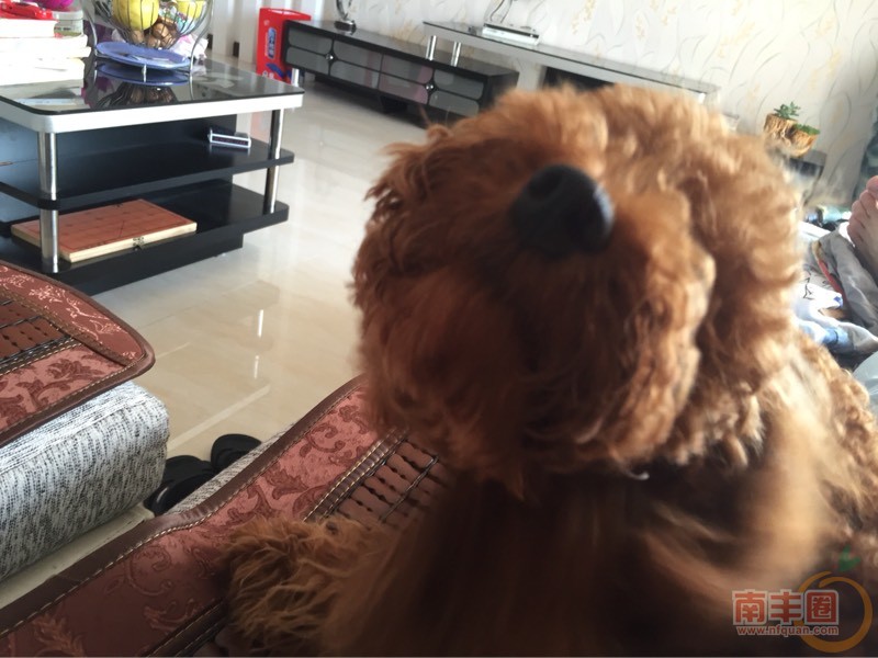 170325vnwnb5f702yy67fn.jpg