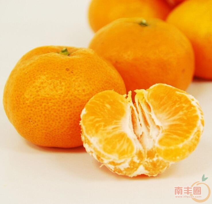桔及瓣2.jpg