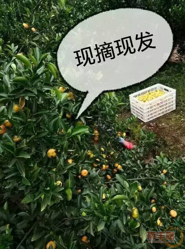 009.jpg