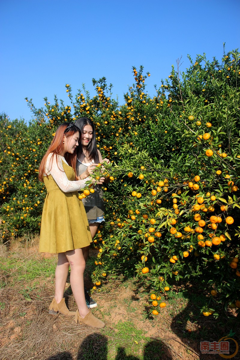 IMG_4034_副本.jpg