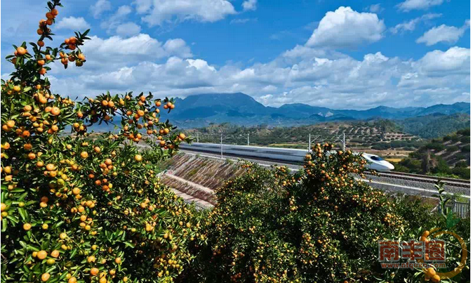 QQ截图20151029203830.png