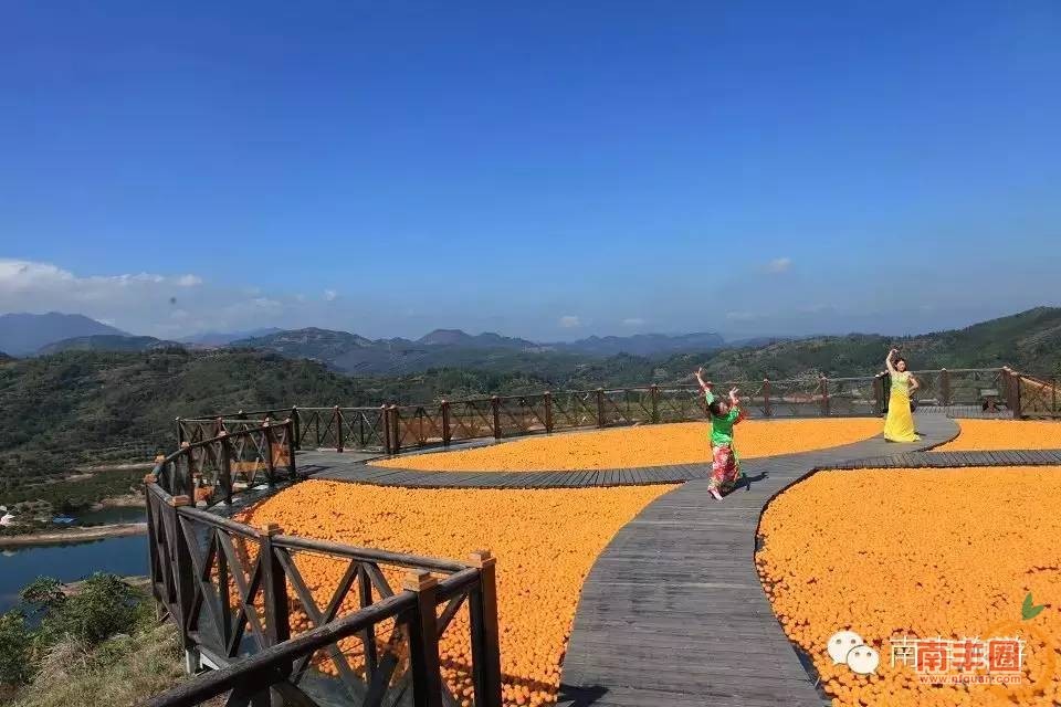 c20f301ab0366938555d754ea84953aa.jpg