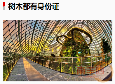 QQ截图20151111104359.png