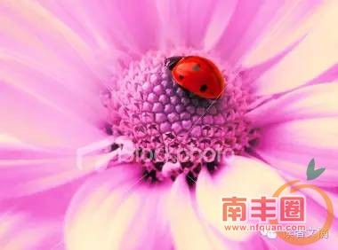 1de9b45488b580fce9e7c7ac96bfaf8c.jpg