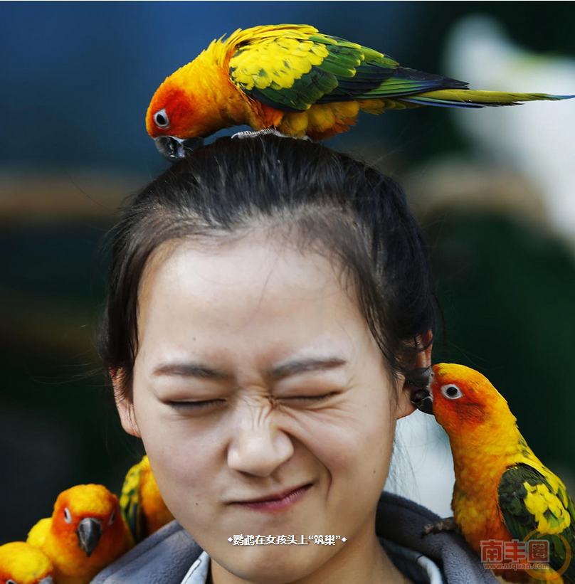 QQ截图20151209104919.png