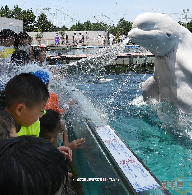 QQ截图20151209105247.png
