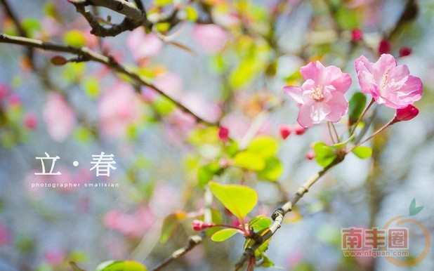 c41be4967f259774514745fc9ddc2ee8.jpg