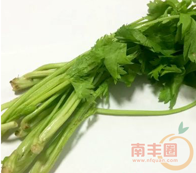 QQ图片20160229092408.png