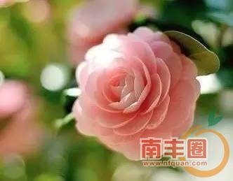 09991ef5c25974ccaffe07786ff7a57c.jpg