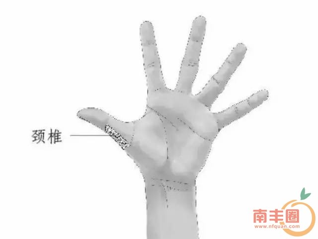 43ce5e606f1aff7fd86cf09062bcf126.jpg