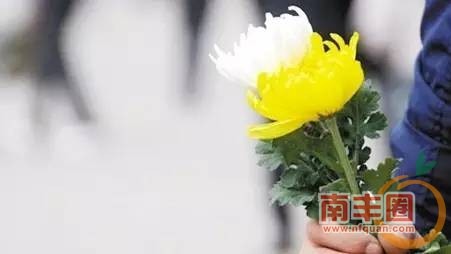 4b1837d979bbb73a3efcdf4509309af3.jpg