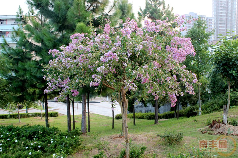 IMG_0990_副本.jpg