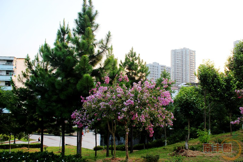 IMG_0991_副本.jpg