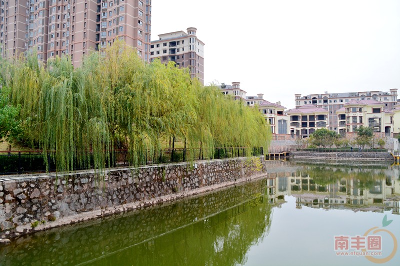 DSC_0892_副本.jpg