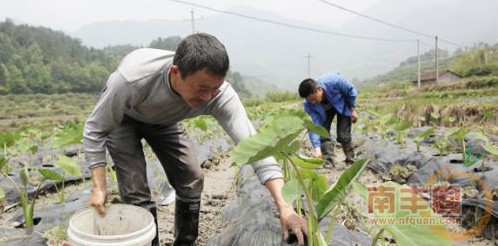 1462321021931[20160505104019]_副本.jpg