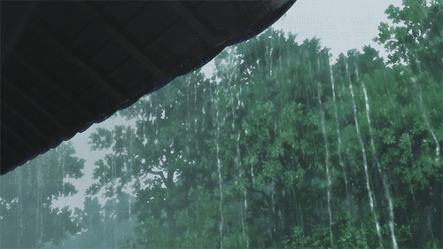 d50a500dbd16967e47e47cec27b1fa4d.gif