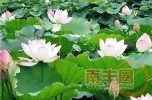 640.webp (9).jpg