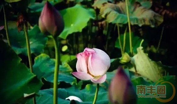640.webp (9).jpg