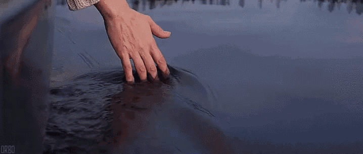 0 (1).gif