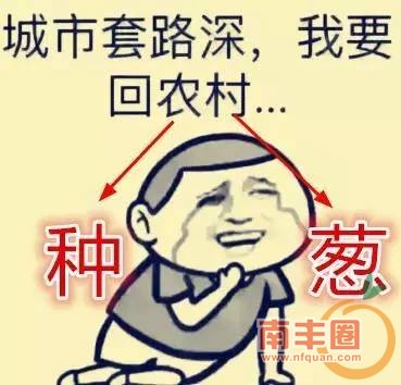 e8be93f75f57b3b2267b918c23f9248c.jpg