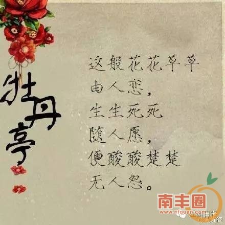 fdd39dc88dda51b1969621dbf285d7e2.jpg